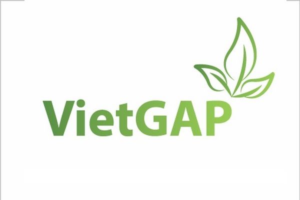 Chứng nhận VietGAP trồng trọt
